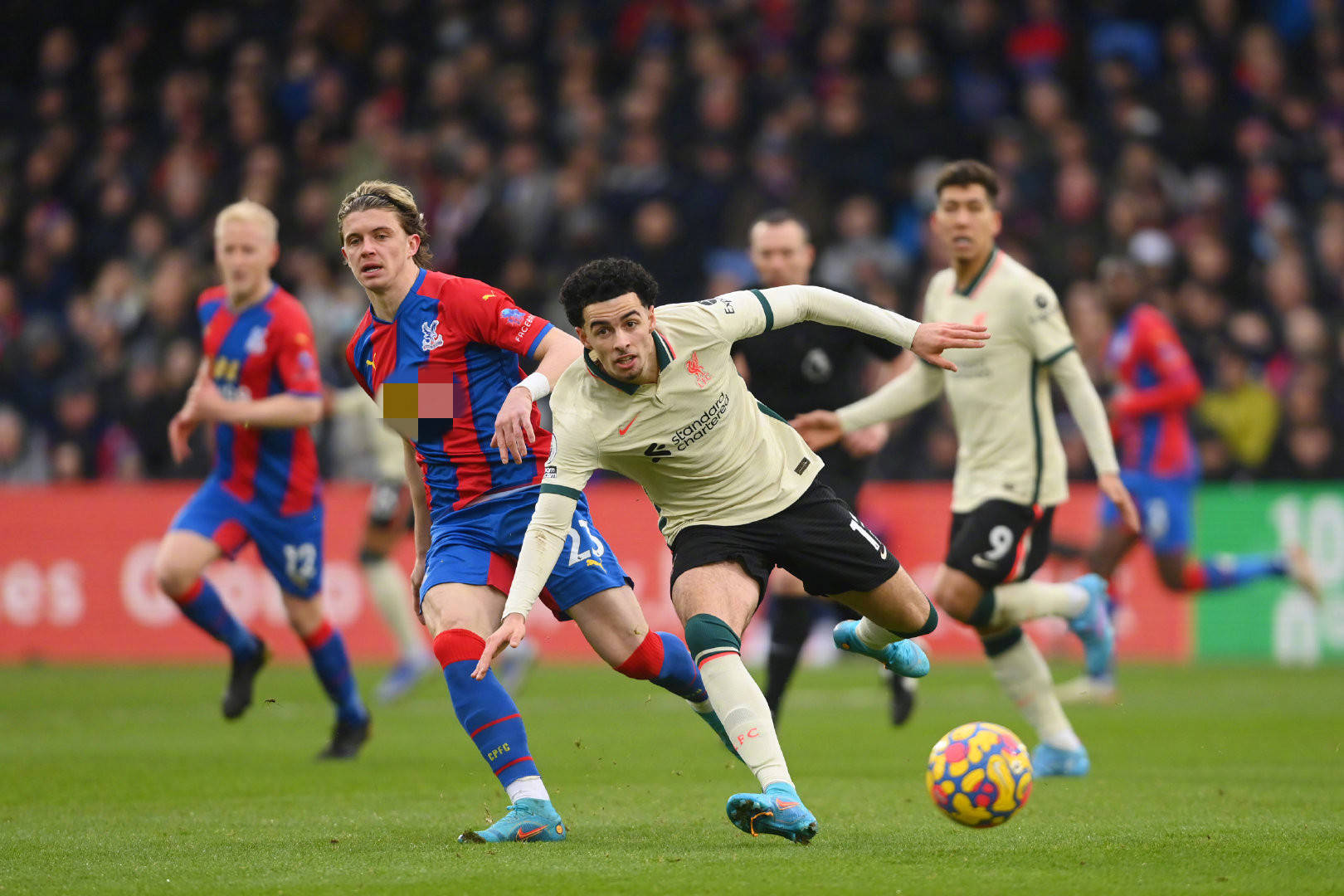 展示了他们 展示了他们